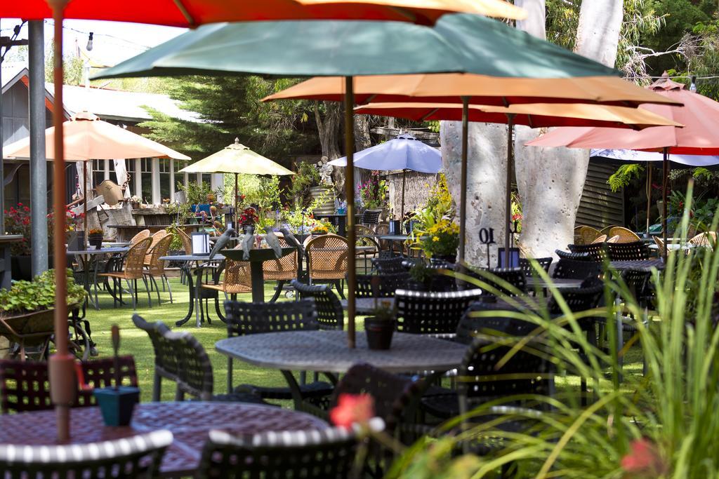 Oakdene Vineyards Guesthouse Wallington Extérieur photo