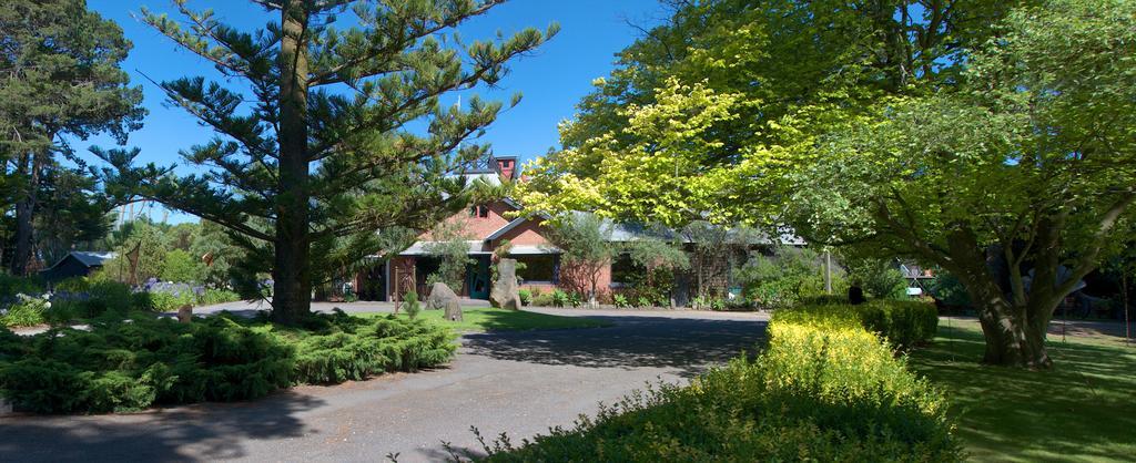 Oakdene Vineyards Guesthouse Wallington Extérieur photo